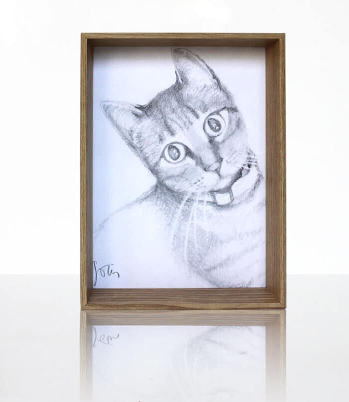 Dibujo retrato de gato