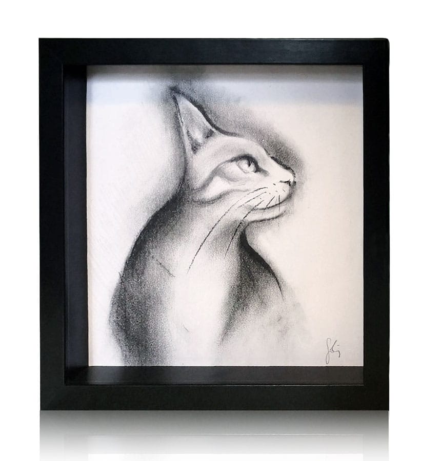  Dibujo de gato a lápiz y carboncillo